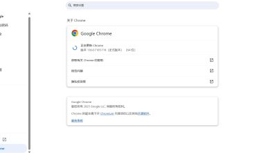 Google Chrome 关于界面显示当前版本号截图